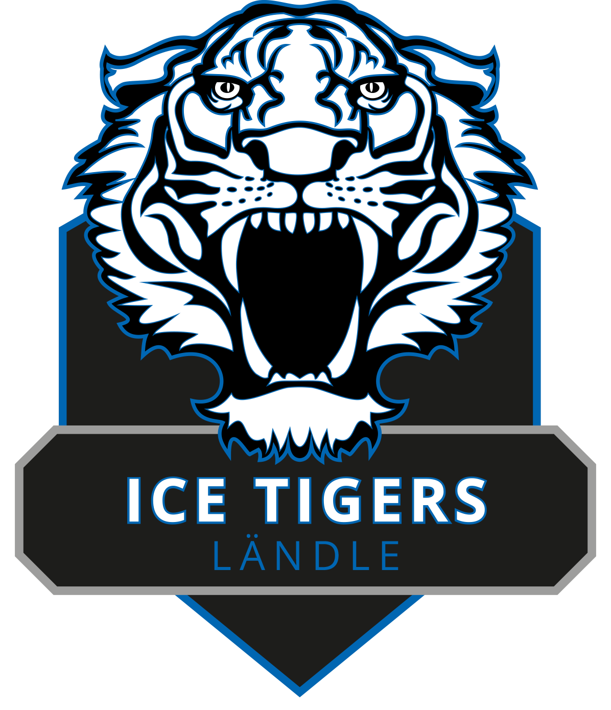 Ländle Para Ice Hockey